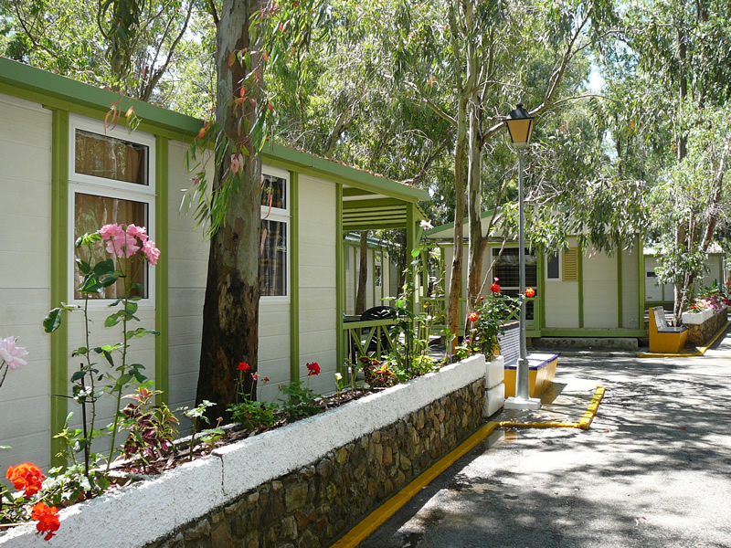Camping Los Eucaliptos